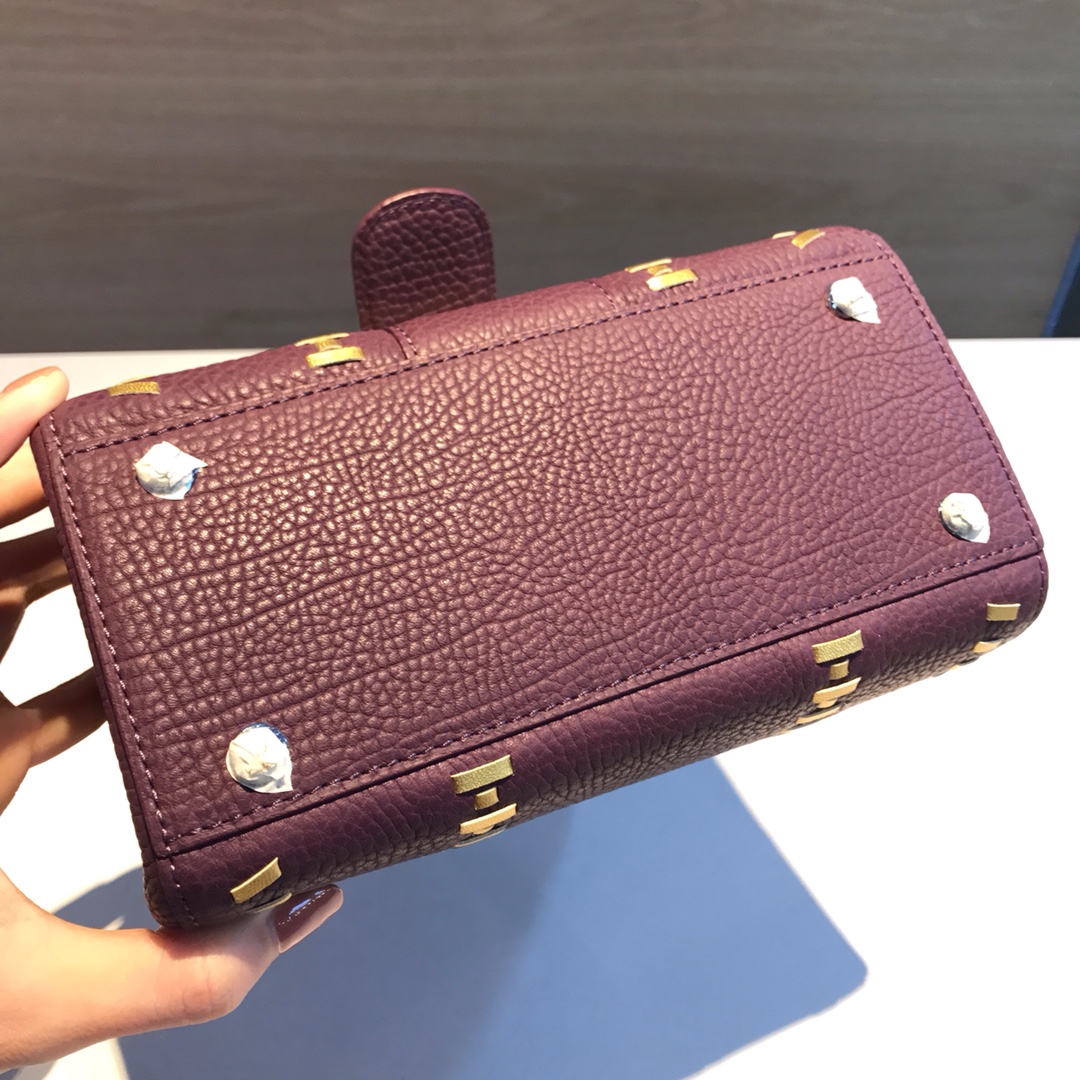 델보 브리앙 토트백 미니